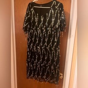 Flapper style sequin dress. Size 2XL. Worn once.